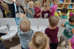 IMG20241114094921