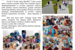 10_Maisiagalos_K_MISEVIC