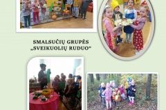 3_Avizieniai_SMALSUCIAI