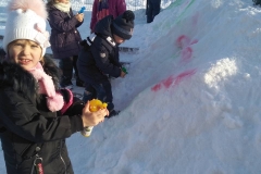 IMG-1a031f6ca5df9bc7b6858e5af0946472-V