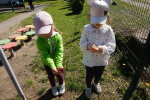 DSC08175